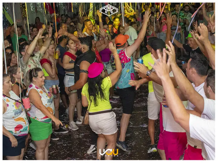 Carnaval A.A.A: foto 127 de 520, A.A.A Avaré