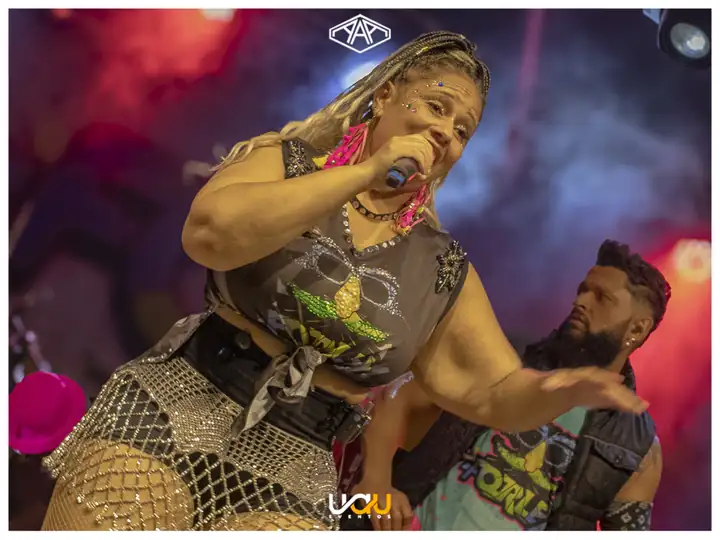 Carnaval A.A.A: foto 209 de 520, A.A.A Avaré
